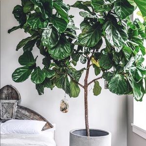 Meet your Posher, Sima